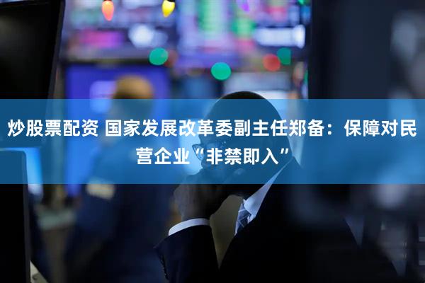 炒股票配资 国家发展改革委副主任郑备：保障对民营企业“非禁即入”