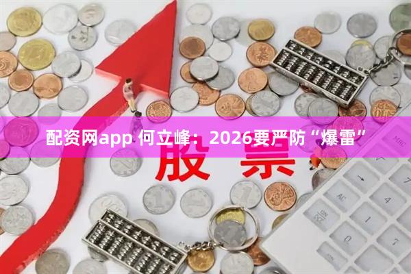 配资网app 何立峰:2026要严防“爆雷”